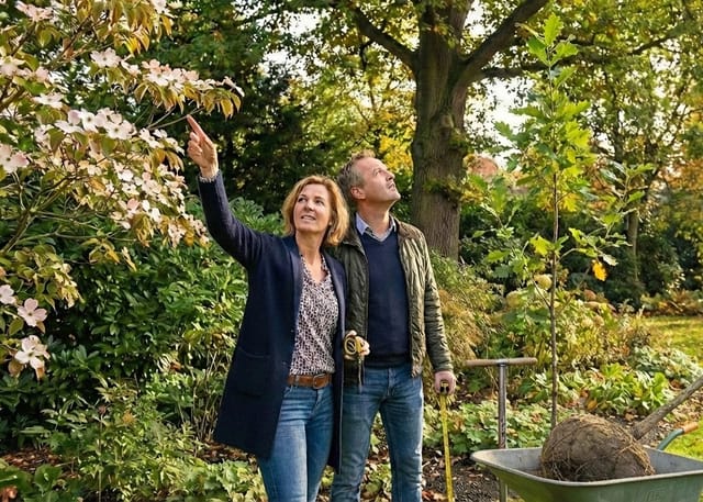 Welke boom past bij mijn tuin?